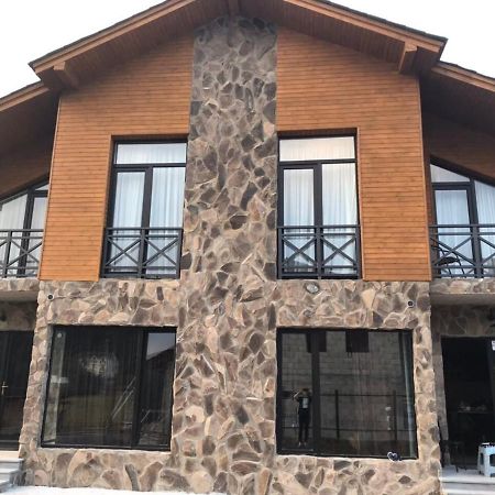 Bakuriani Cozy Villa #4 Buitenkant foto